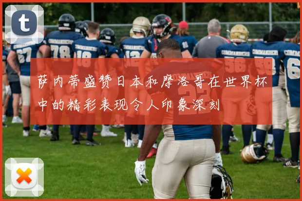 萨内蒂盛赞日本和摩洛哥在世界杯中的精彩表现令人印象深刻